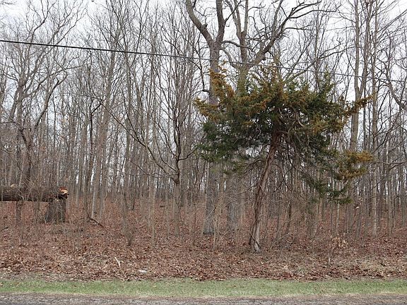 2nd image of 12310 Patten Tract Rd