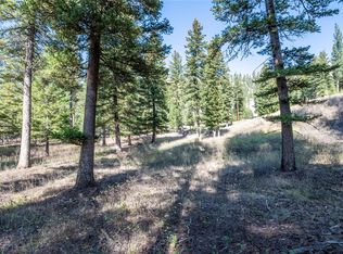 LOT 17 Caddisfly Ct, Clinton, MT 59825