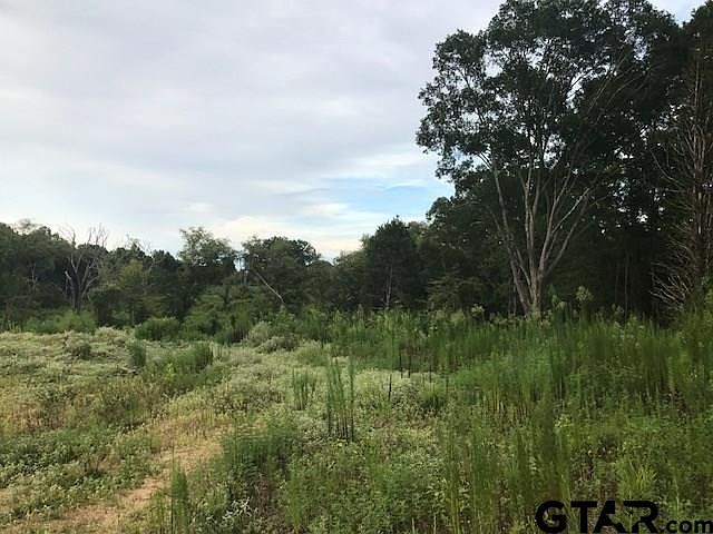 1st image of Xxxx Cr 3259