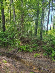 279 County Road 53, Skipperville, AL, 36374