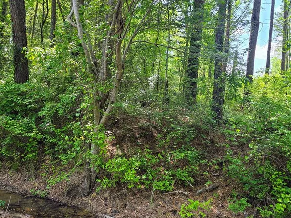 279 County Road 53, Skipperville, AL 36374