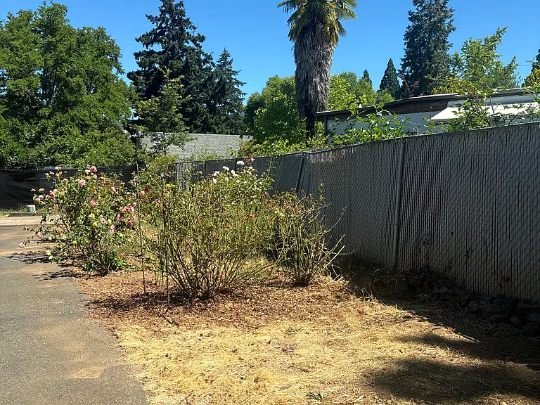 1535 Mount Baldy Rd #7 — Photo 19
