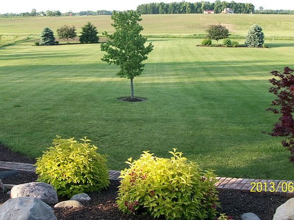 View from back of home
