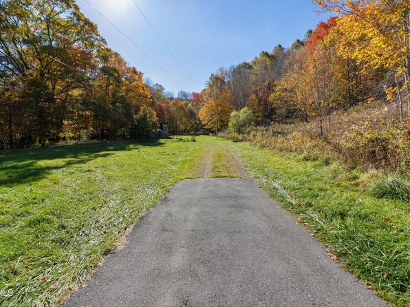 140 Doe Ln, Roan Mountain, TN 37687