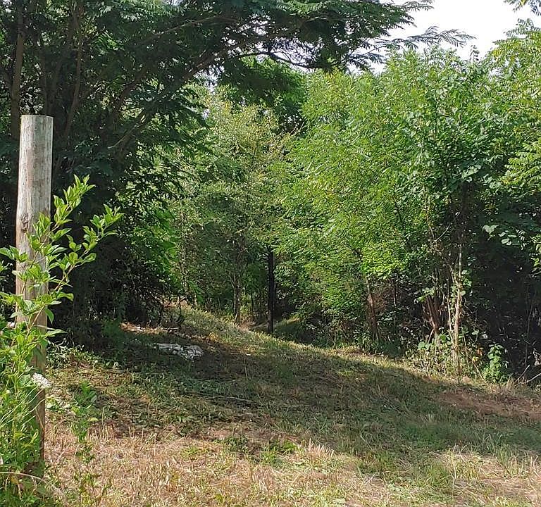 1st image of 38 Knob Creek Rd Lot 38