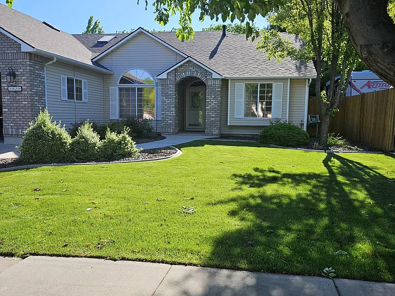 Front yard