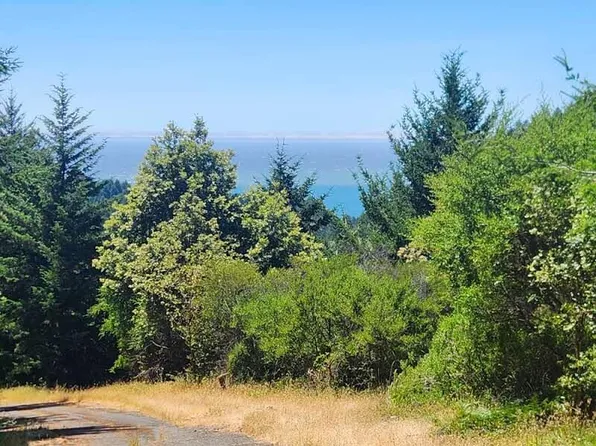 99 Lindley Loop, Whitethorn, CA 95589