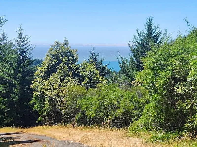 99 Lindley Loop photo 1