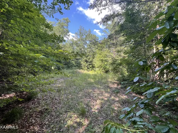 56 Highway 68, Tellico Plains, TN 37385