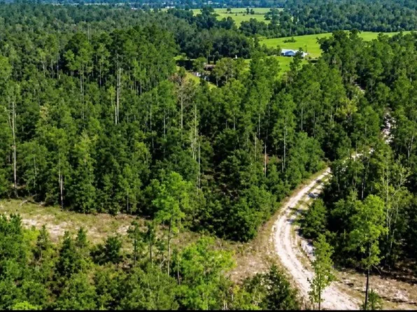SW CO RD 249 LOT 3, JASPER, FL 32052