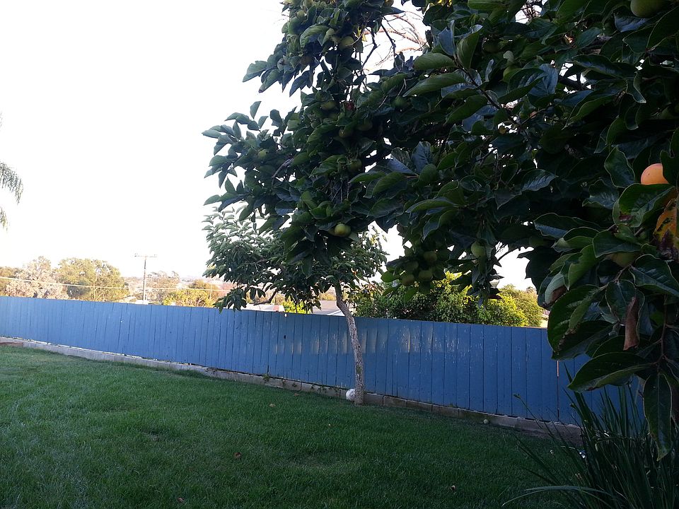 1st image of 4041 Altura Dr