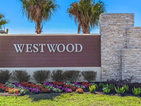 17510 Spanish Oak Loop, Land O Lakes, FL 34638