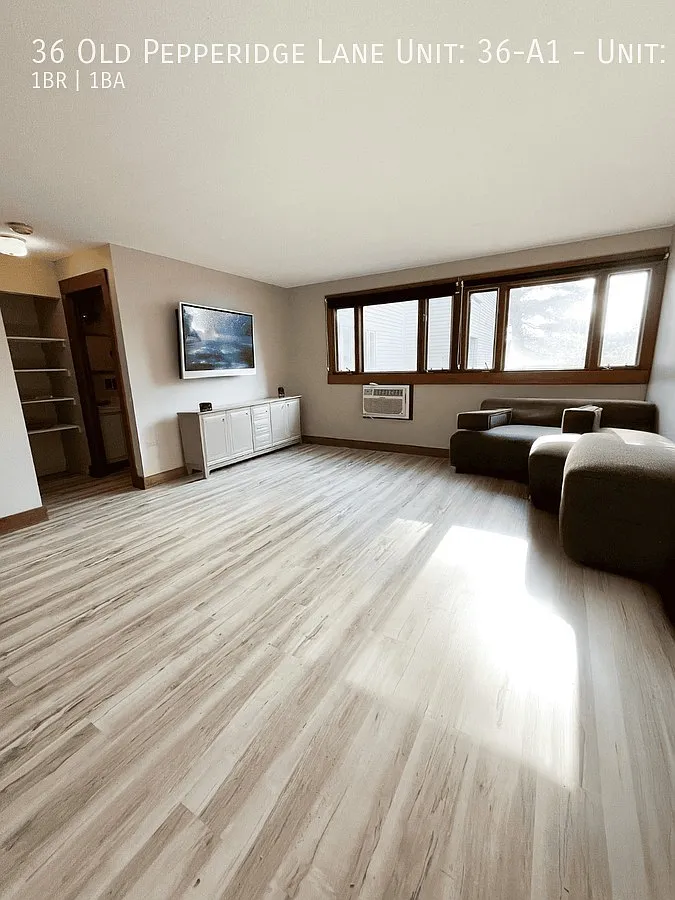 1 bed, $1,650 — Photo 3