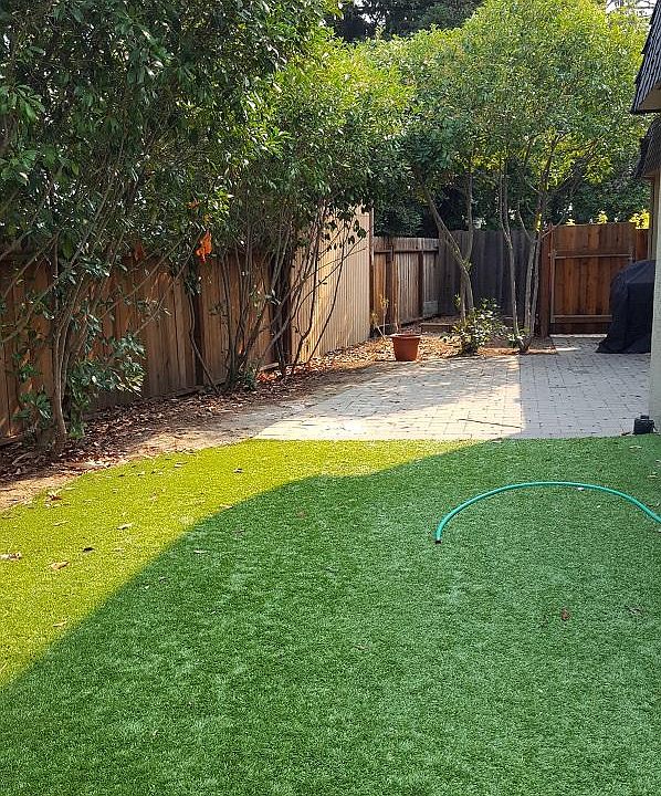 Large, private, low-maintenance, no-mow backyard