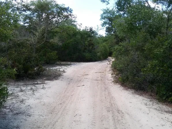 15780 NE 230th Pl, Fort Mc Coy, FL 32134