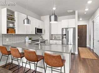 20 Wilcox St Unit 203, Castle Rock, CO 80104