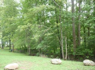 Circle Dr, Spring City, TN 37381