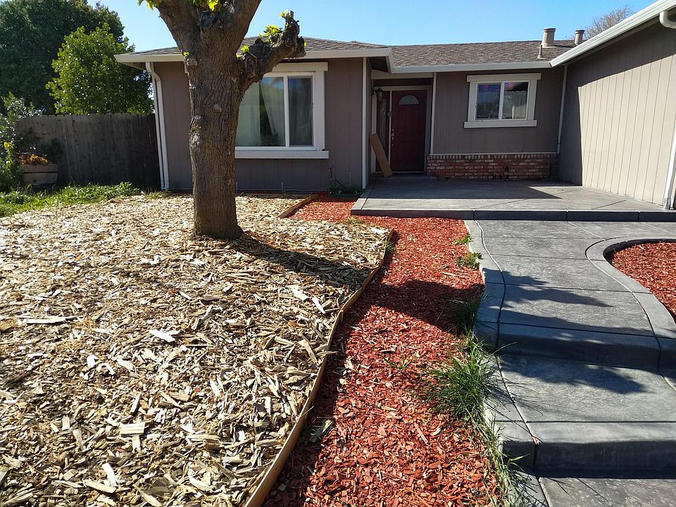House front. Low maintenance yard. Tree trimming is included in rent.