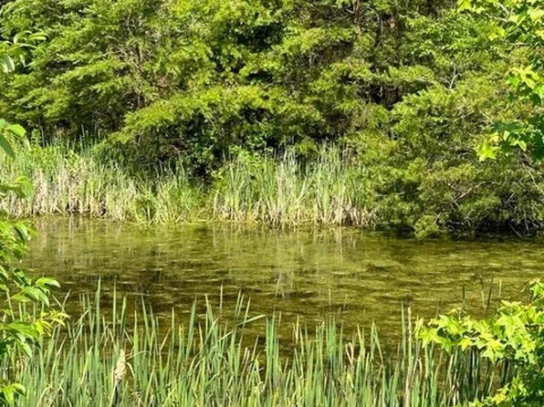 6164 Kyles Ford Hwy, Kyles Ford, TN 37765