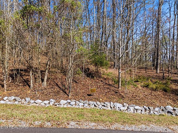 3rd image of 141 E Shore Dr