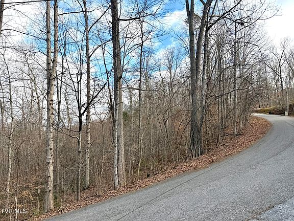 4th image of Lots 6&7 Skyline Dr