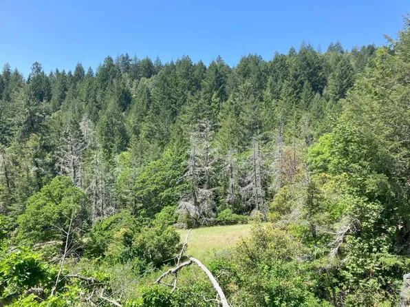 3241 Primrose Drive, Willits, CA 95490