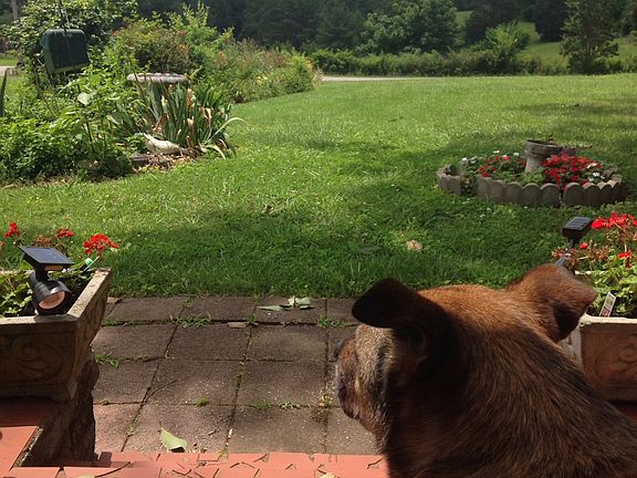 View from porch of main hous