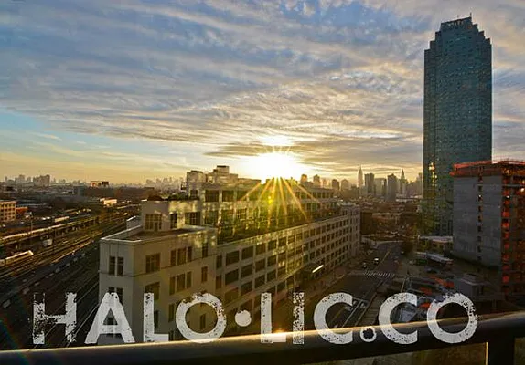 Rented by Fiddler Realty | media 87