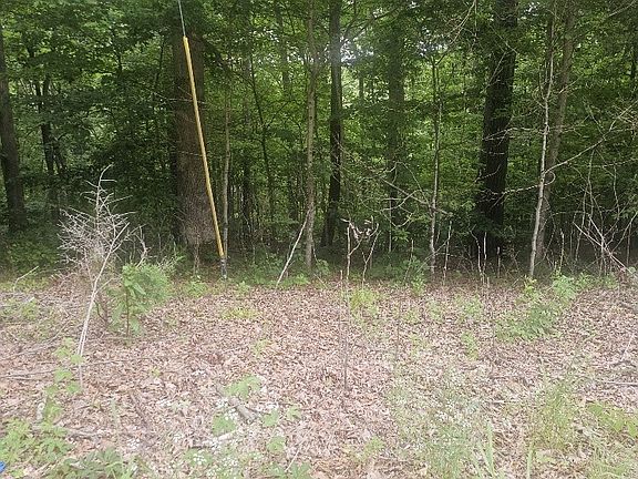 3rd image of 0 Scenic Dr Lot 44