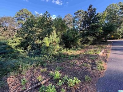 5385 Pinecrest Dr LOT 1, Mount Olive, AL, 35117