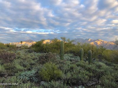 4290 N Circulo Manzanillo, Tucson, AZ, 85750