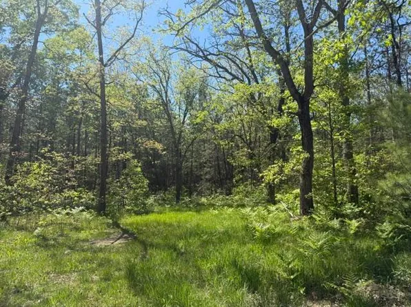 PARCEL C Usfs #5196, Baldwin, MI 49304