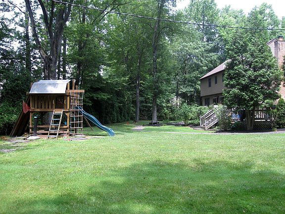 Park-like backyard