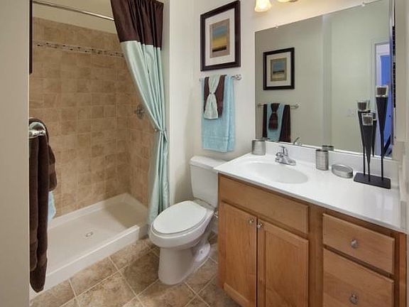 5th image of 2220 Old Brick Rd APT 2522