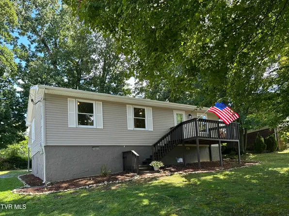 172 Village Ln, Gray, TN 37615