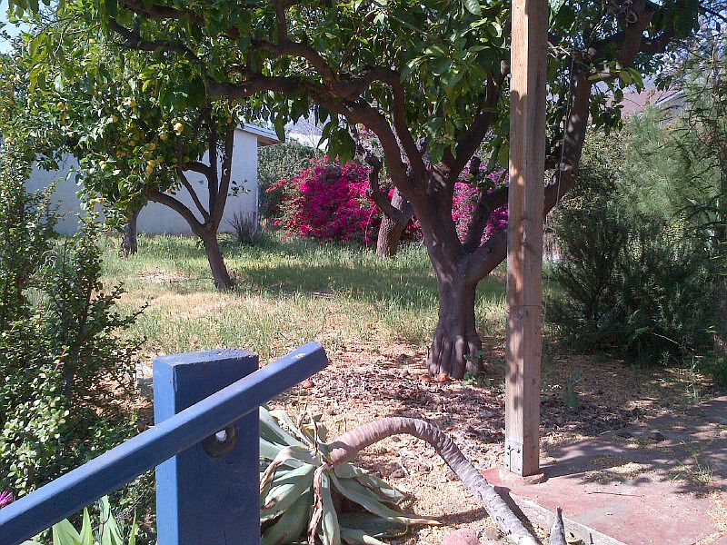 Upper Backyard