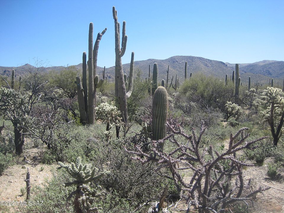 1st image of 41306 S Staghorn Ln #10AC
