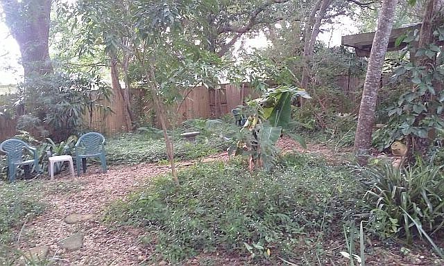 Landscaped backyard canopy