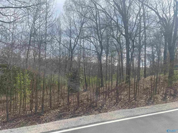 90 County Road 217, Hillsboro, AL 35643