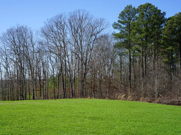 0 Pine Grove Rd #3, Big Sandy, TN 38221