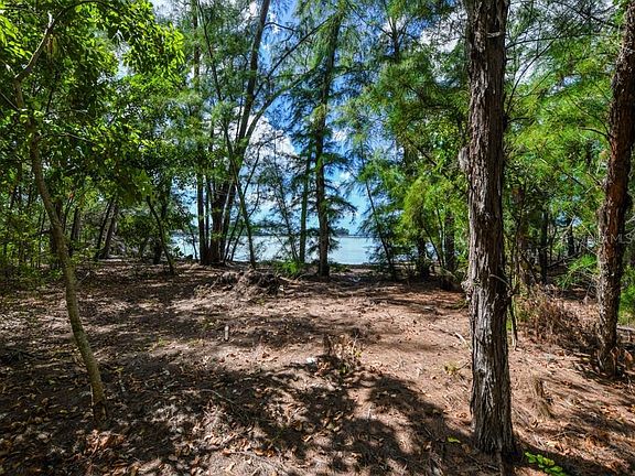 5th image of 7151 La Lenaire Dr