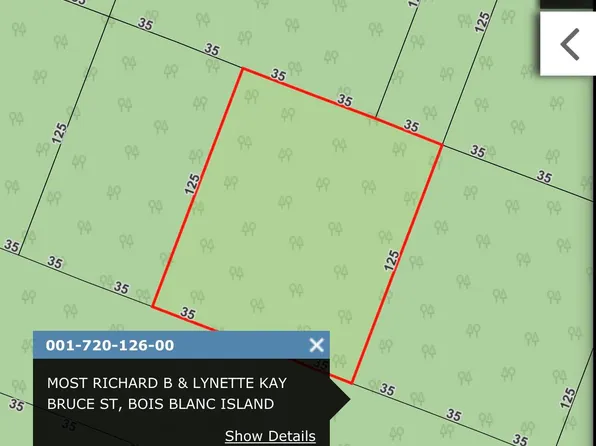 72012600 Bruce St, Pointe Aux Pins, MI 49775