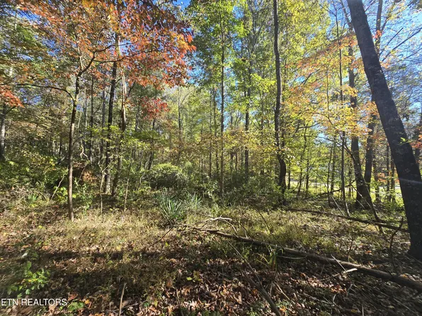 0 Horseshoe Bend Rd, Pennington Gap, VA 24277