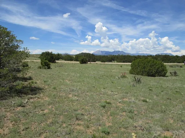 293 Rio Cucharas, Walsenburg, CO 81089