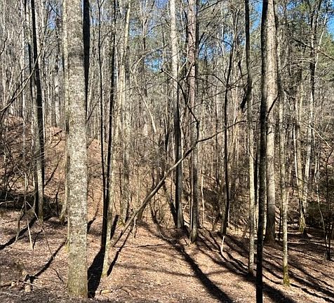 4th image of 0 Monticello Dr Lot 2917