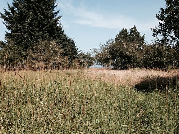 Picture yourself here