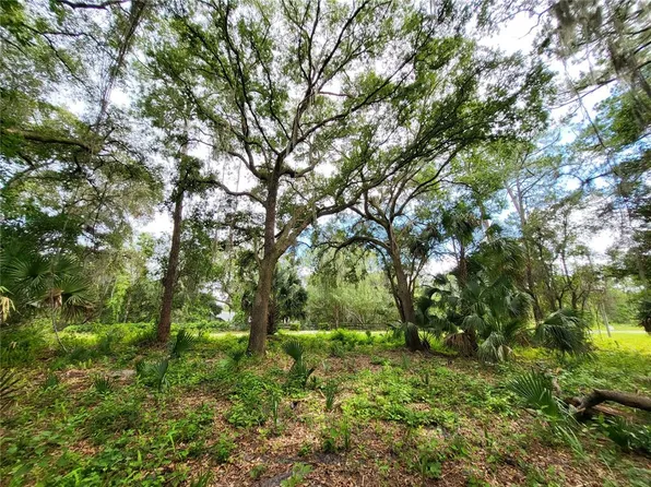 Saffron Avenue Lot #12, Eustis, FL 32736