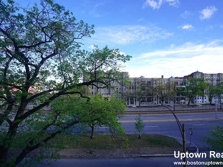 Commonwealth Ave — Photo 15