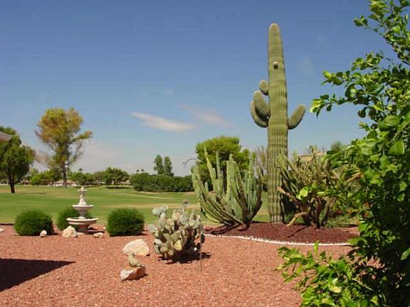2nd image of 12342 W COUGAR Drive