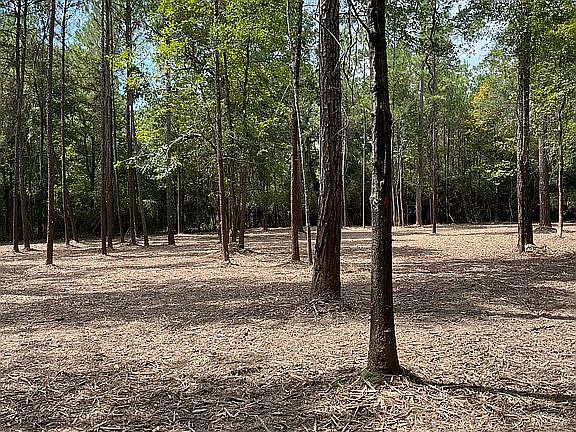 2nd image of 158894 Four Hills Rd